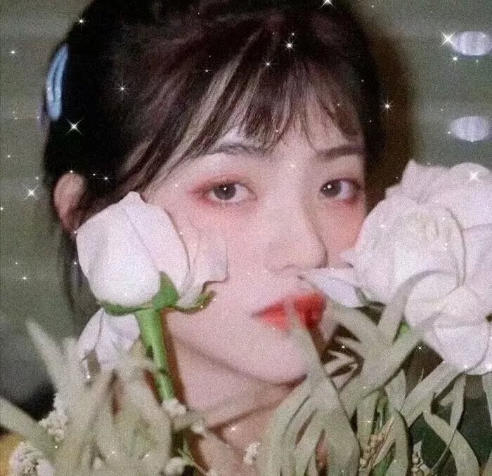 自然学院林第二季